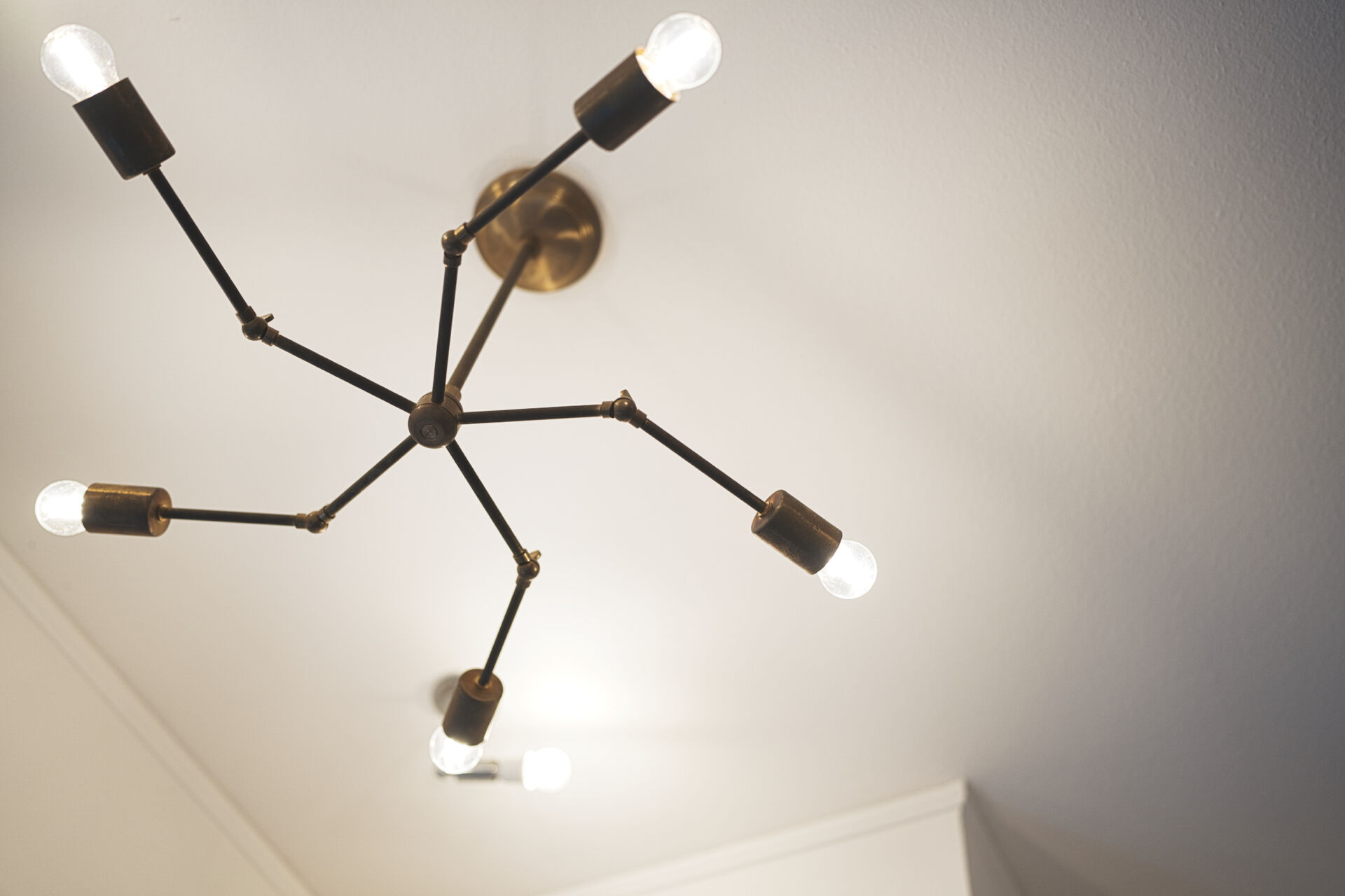 特徴